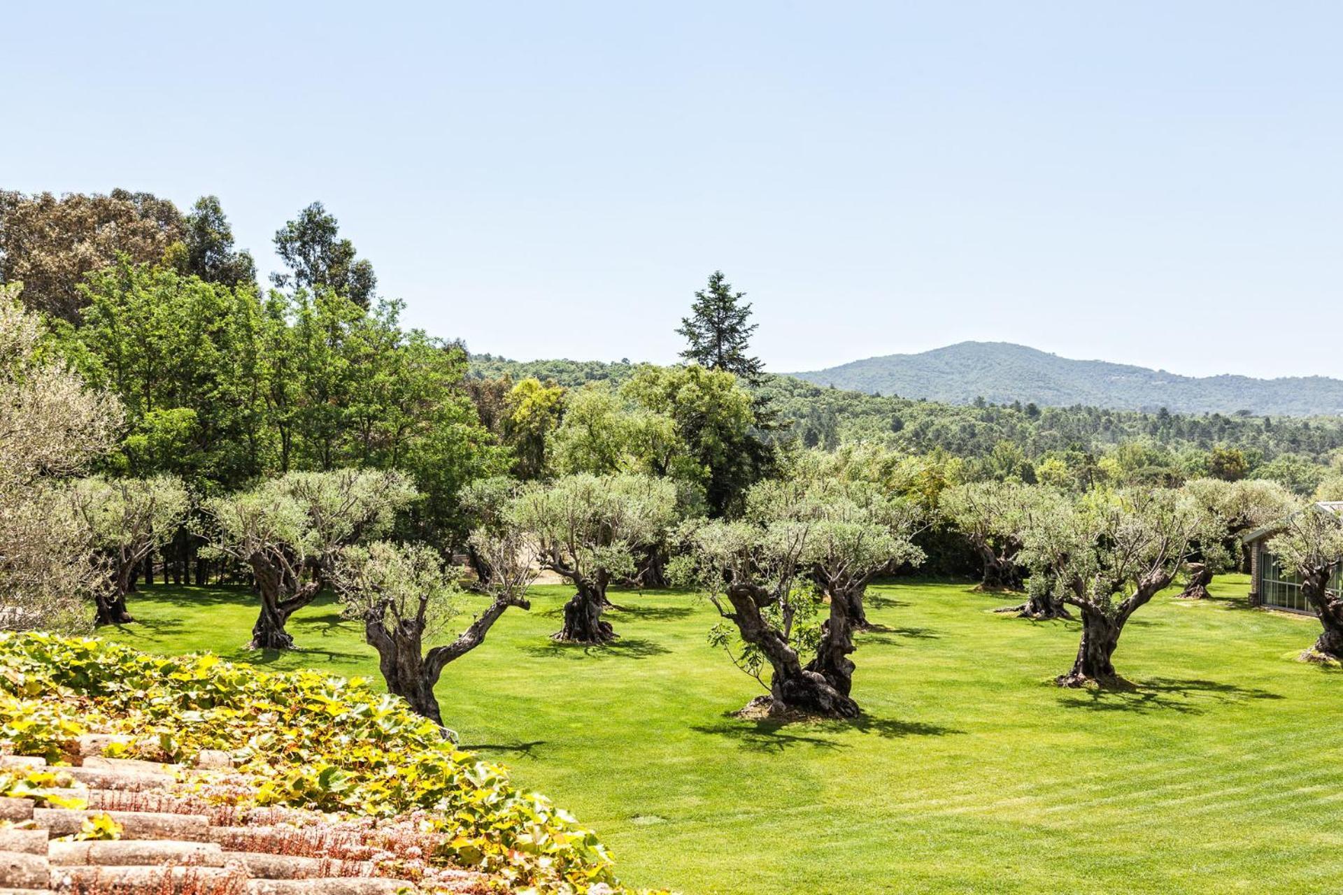 Domaine Les Mesanges Hotel Gassin Luaran gambar