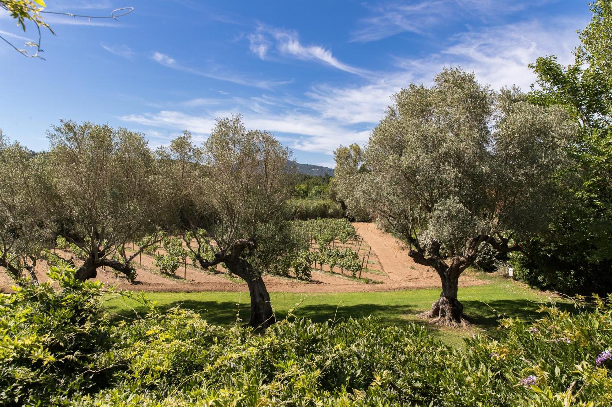 Domaine Les Mesanges Hotel Gassin Luaran gambar